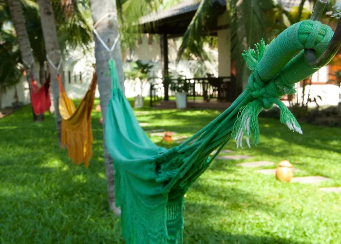 Thuy Thuy Phan Thiết